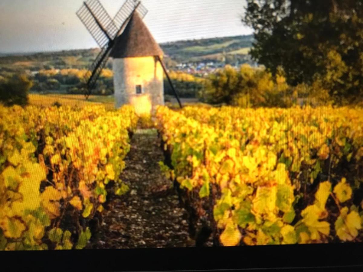 Maison M On The Dordogne Apartment Sainte-Foy-la-Grande