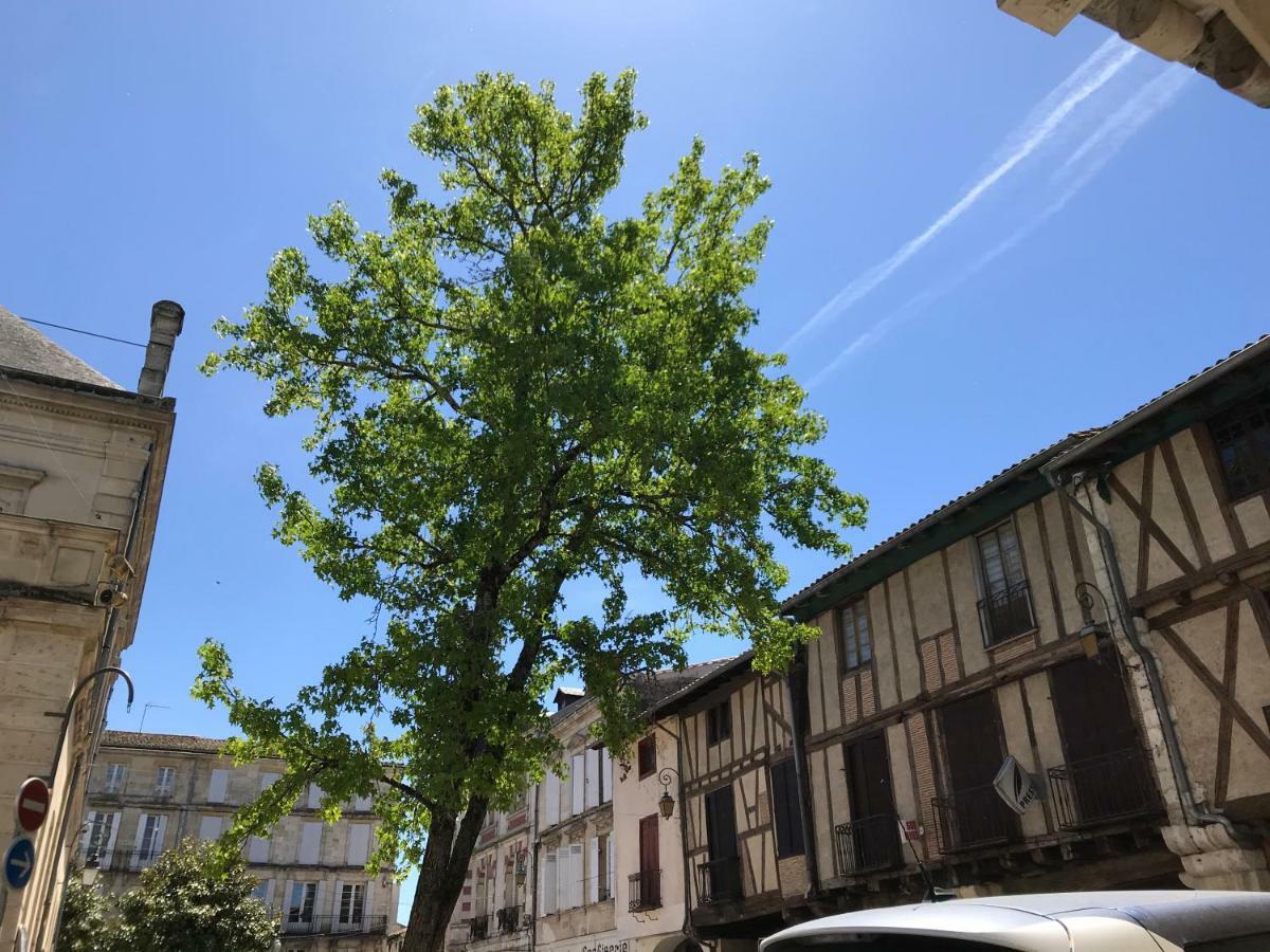 Apartment Maison M On The Dordogne